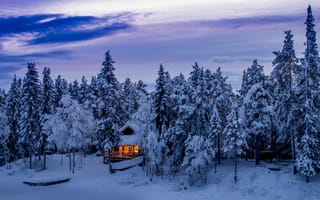 Картинка Kiruna, лес, Polar Night, деревья, сугробы, Arctic Circle, домик, Sweden, зима, пейзаж