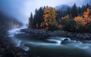 Картинка Цвета осени в сумерках, река, Ливенворт, туман, природа, осень, деревья, пейзаж, сумерки, Вашингтон