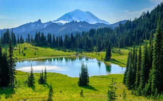 Картинка Tipsoo Lake, пейзаж, деревья, Mount Rainier National Park, Washington, USA, природа, горы, озеро