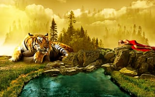 Картинка тигр, цифровая манипуляция, фото искусство, дикая кошка, животные, хищник, природа, кошачий, млекопитающее, живая природа, опасный, кошка