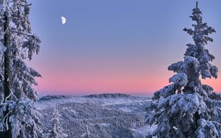 Картинка Нордшварцвальд, Германия, зима