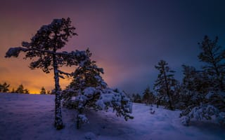 Картинка Финляндия, закат, природа