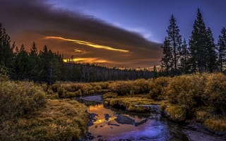 Картинка Осенний ручей в лесу