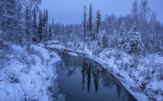 Картинка Alaska, лес, природа, река, зима, лёд, деревья, снег, пейзаж, сугробы