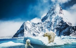 Картинка Белый медведь, северный медведь, медведи, море, фантазия, фотошоп, льдина, art, полярный