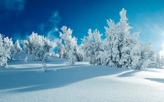 Картинка зима, деревья, снег, пейзаж, сугробы
