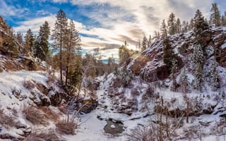 Картинка Зима вдоль ручья Кутенай, Монтана, пейзаж