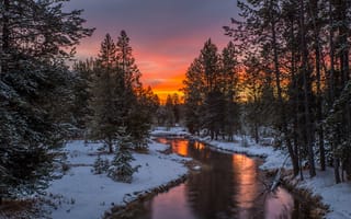 Картинка восход солнца, штат Айдахо, природа, деревья, Айленд-Парк, зима, река, пейзаж, лес