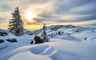 Обои зима, природа, пейзаж, закат, деревья, снег, горы