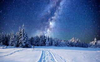 Обои зима, ночь, сияние, природа, деревья, пейзаж, снег, свечение, сугробы
