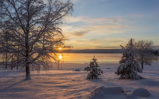 Картинка Arvika, пейзаж, сугробы, водоём, деревья, природа, Швеция, солнечные лучи, зима, снег, закат