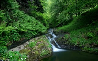 Картинка водопад, водоём, деревья, скалы, пейзаж, речка, лес, природа