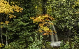 Картинка осень, лес, водопад, природа, пейзаж, деревья
