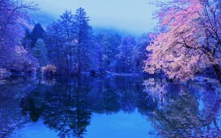 Картинка пруд, Герцеговина, деревья, осень, рассвет, пейзаж, мост, парк, водоём, Босния