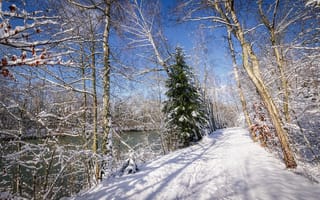 Обои зима, дорога, снег, лес, река, деревья, природа, пейзаж