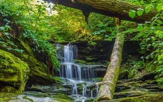 Картинка Ricketts Glenn State Park, пейзаж, деревья, природа, скалы, лес, водопад