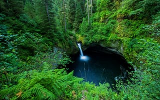 Картинка Columbia River Gorge, природа, водопад, деревья, лес, Oregon, скалы, пейзаж
