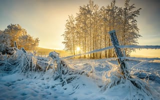 Обои зима, природа, закат солнца, солнечные лучи, снег, деревья, пейзаж