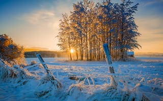 Картинка зима, деревья, снег, закат солнца, пейзаж, природа, солнечные лучи
