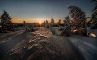 Картинка зима, пейзаж, деревья, сугробы, закат солнца, сумерки, природа, солнечные лучи, снег