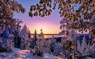 Обои закат солнца, природа, озеро, зима, Finland, снег, деревья, пейзаж
