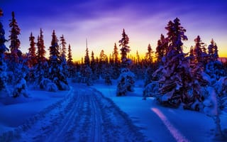Картинка закат, природа, пейзаж, снег, зима, Норвегия, деревья, дорога