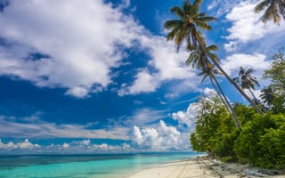 Картинка Malaysia, море, Tropical Paradise, остров, Sabah, облака, пальмы, небо, пейзаж, пляж