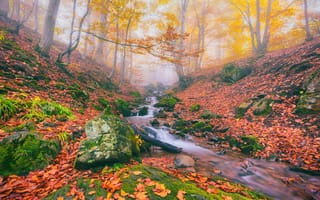 Картинка осень, осенние краски, водопад, река, течение, краски осени, туман, лес, мох, осенние листья, деревья, камни