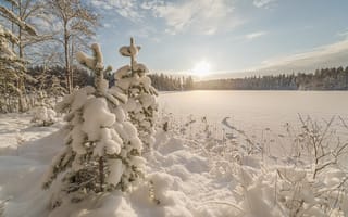 Картинка зима, Приозерский район, природа