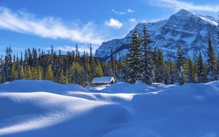 Картинка Banff National Park, снег, деревья, лес, пейзаж, зима, горы, сугробы, домик