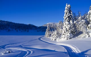 Обои зима, сугробы, природа, горы, пейзаж, деревья, снег, лыжня, следы