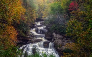 Картинка водопад Калласая, лес, краски осени, скалы, пейзаж, осенние краски, Северная Каролина, природа, река, осень, деревья, Кулласайское ущелье