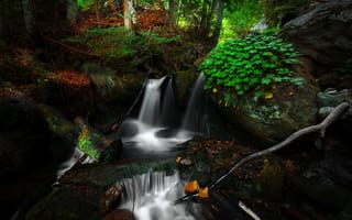 Картинка водопад, лес, поток, деревья, камни, природа, пейзаж
