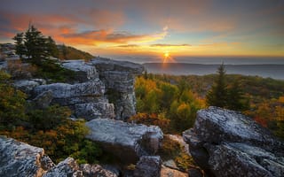 Картинка западная Вирджиния, Восход, Аппалачи, деревья, осень, скалы, горы, лес, пейзаж, природа, закат