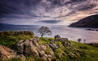 Картинка Северная Ирландия, Северное море, Isle of Jura, закат, Горные породы, природа, пейзаж, Одинокое дерево, Antrim