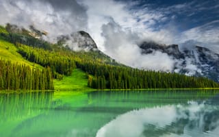 Картинка Emerald Lake, Канада, Canada, Изумрудное озеро, пейзаж, Yoho National Park, Национальный парк Йохо