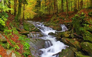 Картинка польша, деревья, пейзаж, природа, лес, скалы, bieszczady, водопад осень, поток, камни