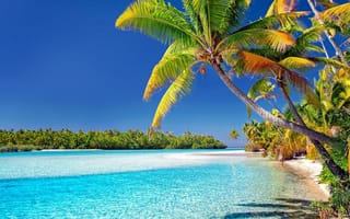 Картинка острова кука, вода, путешествия, океана, море, пляж, пальмовые деревья, песок, тропический, остров, рай, праздник