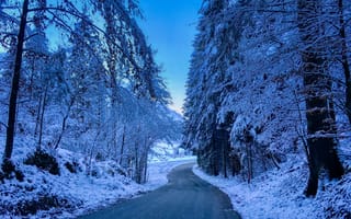 Картинка Зимний лес возле Брайтенау, Бавария, деревья, Германия, зима, дорога, пейзаж