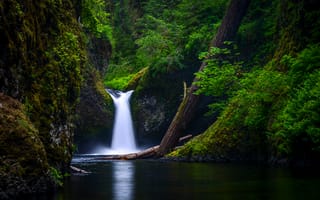 Картинка природа, штат Орегон, ущелье реки Колумбия
