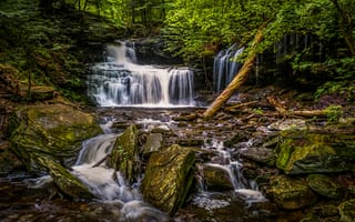 Картинка Государственный парк Рикеттс Глен, Ricketts Glen State Park, водопад, течение, пейзаж, скалы, Пенсильвания, лес, Pennsylvania, деревья, природа