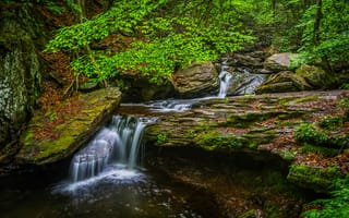 Картинка Государственный парк Рикеттс Глен, Ricketts Glen State Park, Пенсильвания, водопад, скалы, Pennsylvania, течение, лес, деревья, природа, пейзаж