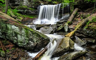 Обои Государственный парк Рикеттс Глен, скалы, течение, Пенсильвания, водопад, Pennsylvania, Ricketts Glen State Park, деревья, природа, лес, пейзаж