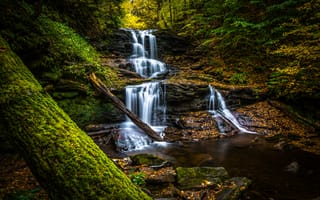 Картинка Государственный парк Рикеттс Глен, лес, Ricketts Glen State Park, природа, скалы, водопад, Pennsylvania, течение, Пенсильвания, пейзаж, деревья