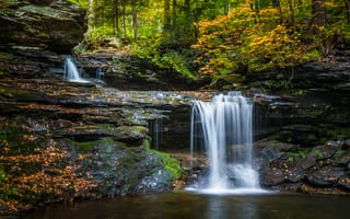 Картинка Государственный парк Рикеттс Глен, скалы, водопад, Ricketts Glen State Park, пейзаж, Pennsylvania, деревья, течение, Пенсильвания, лес, природа