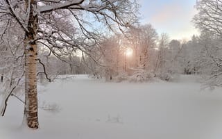 Картинка Снежная природа