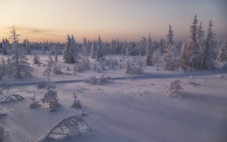 Картинка Salekhard, закат, деревья, сугробы, Russia зимняя тундра, пейзаж, снег, лесотундра