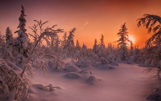 Картинка Salekhard, снег, деревья, закат, пейзаж, сугробы, Russia зимняя тундра, лесотундра, зима