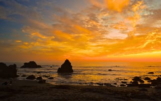 Картинка Sonoma Coast State Park, outdoor, seaside, sea, shore, State of California, summer, sunset, water, beach, landscape, ocean