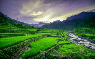 Картинка Вьетнам, природа, горы, пейзаж, река, камни, закат солнца, рисовые поля